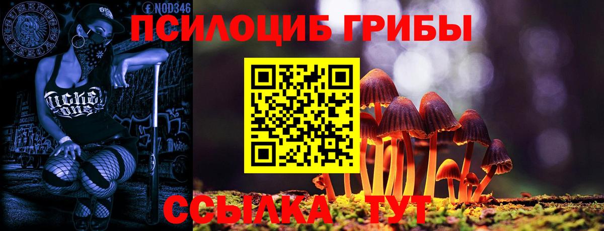 Галлюциногенные грибы прущие грибы  Вход с VPN  Железногорск 